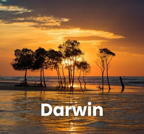 Darwin
